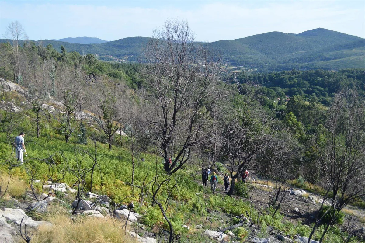 El Gobierno acepta considerar víctimas a las comunidades de montes vecinales expropiadas por el franquismo