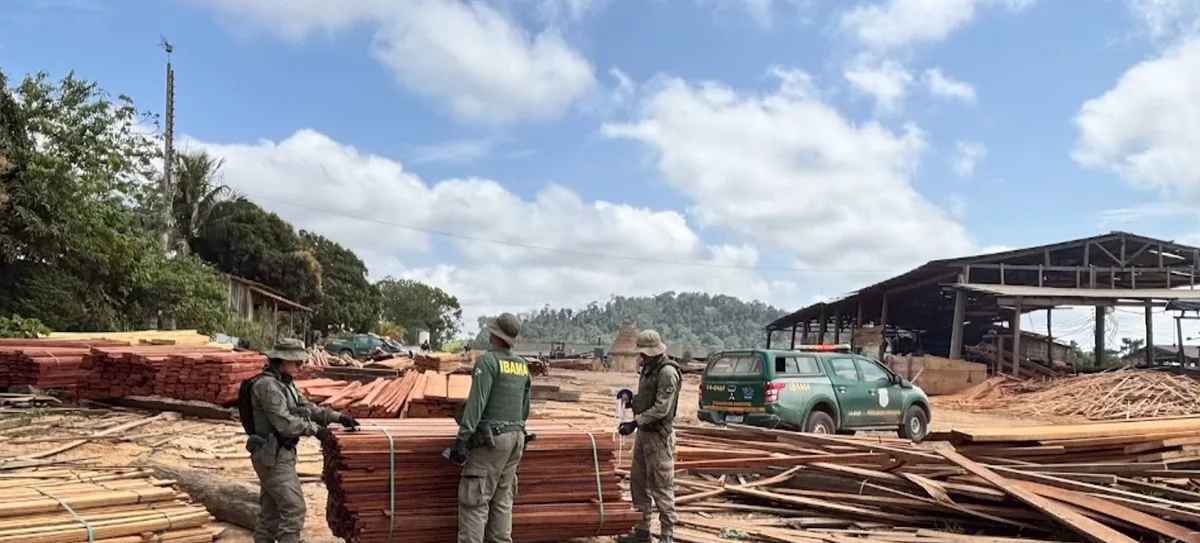 Madeireira clandestina que recebia madeira de Terra Indígena é desativada durante operação em Uruará