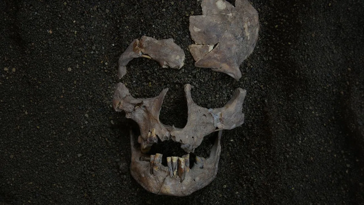 World's oldest evidence of habitual drug use traced back 25,000 years to Indonesia