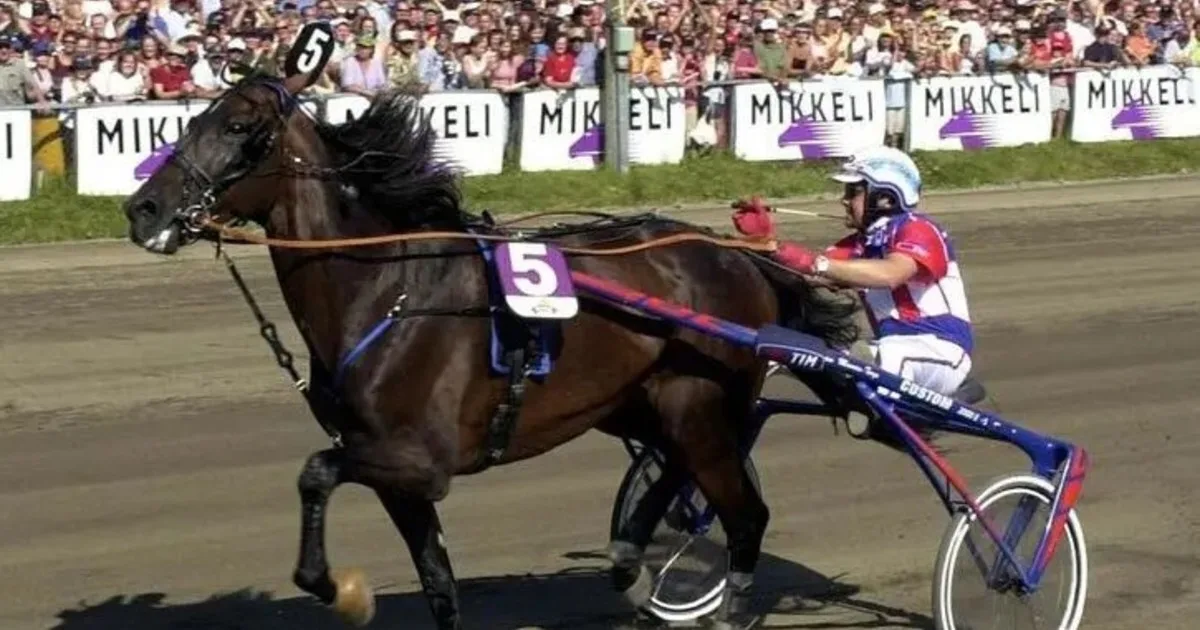 Murió "Varenne", el mejor caballo de carreras de todos los tiempos