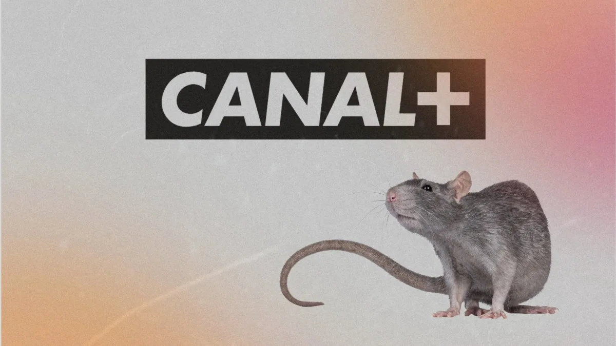 Canal+ lance l’abonnement Rat+ le moins cher de sa gamme : que comprend la formule ?