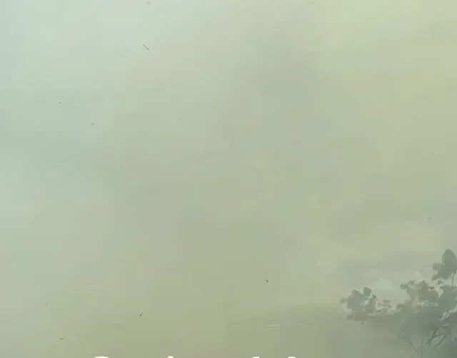 Incêndio de grandes proporções atinge vegetação na Avenida Amadeu Barbosa