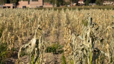 Klimawandel trifft Europa – Umweltagentur mahnt Handeln an