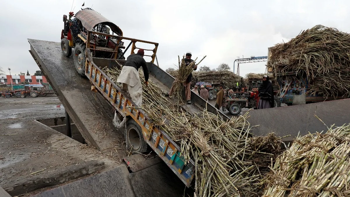 Pak sugar in India? Millers hopeful despite trade ban as Delhi removes import duty