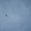 Dois navios atingidos por drones ao largo da Bulgária. Um deles naufragou