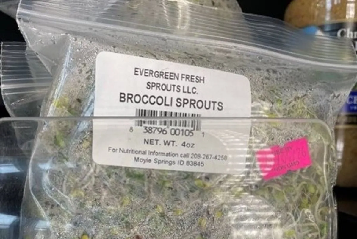 FDA reports salmonella outbreak linked to broccoli sprouts