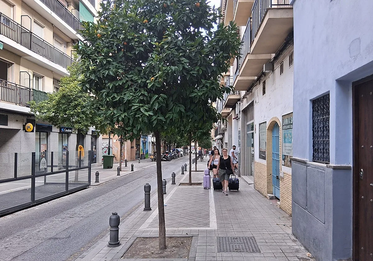 Los terremotos vacían Granada: los locales se van a la costa y los turistas acortan su estancia