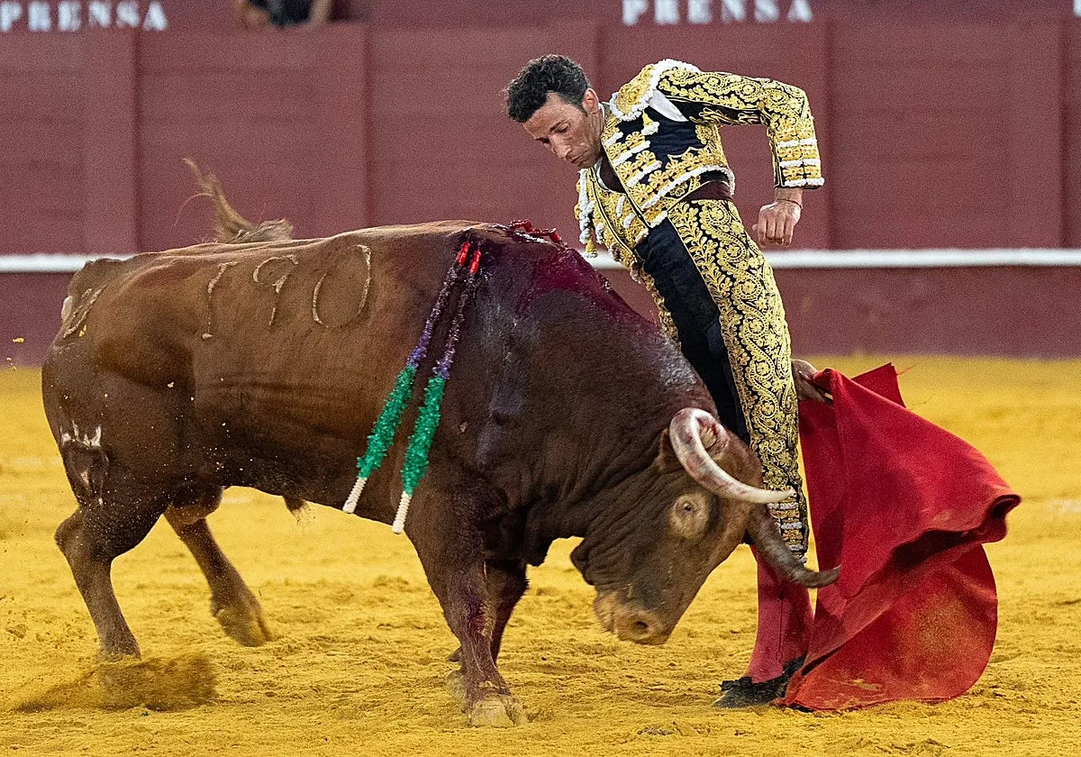 David de Miranda marca su territorio y vuelve a ser gente en Málaga