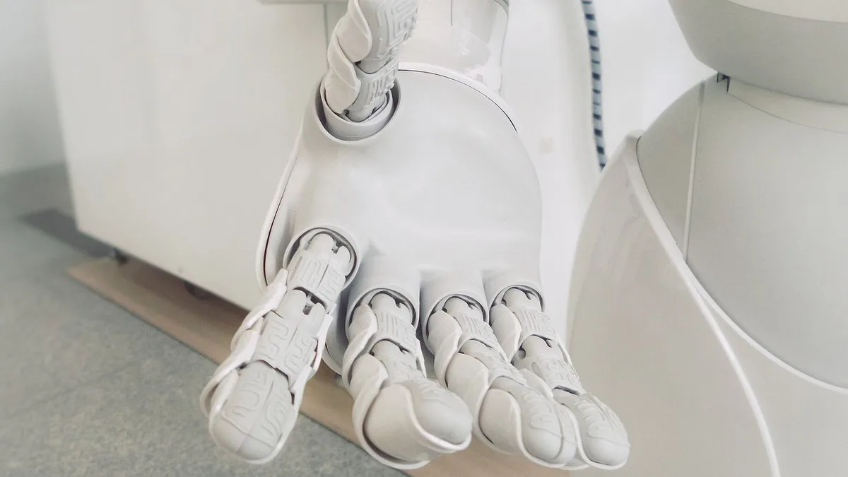 Gorjeta para uma máquina? Robôs já começam a pedir dinheiro aos clientes e especialistas deixam alerta