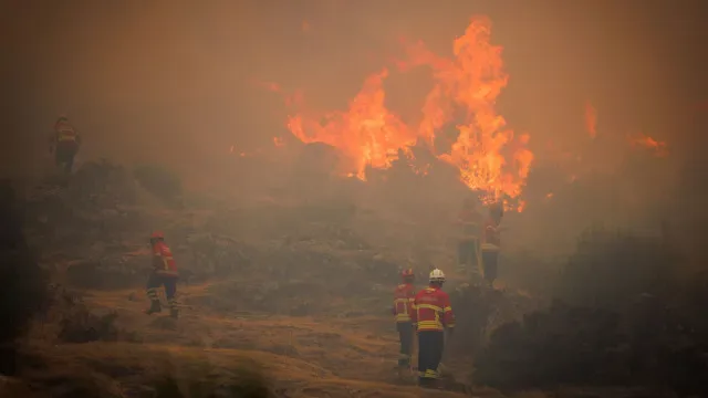 Fogo de Moncorvo mantém frente ativa em Carrazeda, mas evolui bem