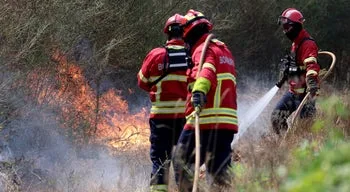 Abrantes. Incêndio florestal combatido por 500 bombeiros