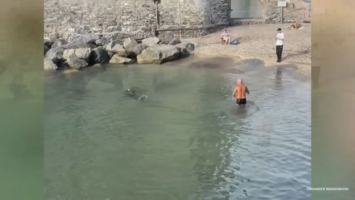 Gefahr am Strand - Er will schwimmen, dann kommt der Riesenfisch