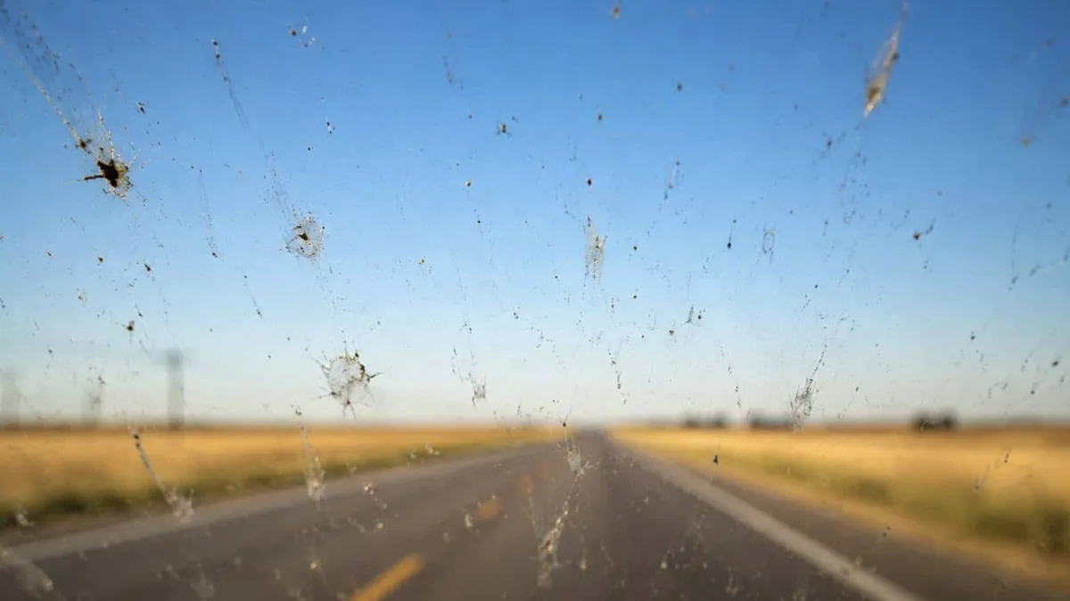 El parabrisas de tu coche está más limpio que nunca y la ciencia asegura que no deberías alegrarte demasiado