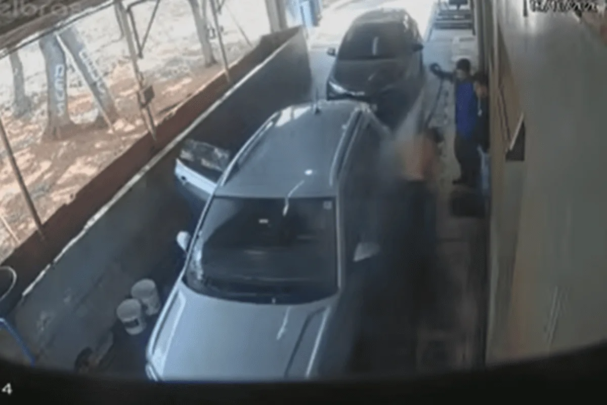 Trabalhadores atacados espantam abelhas com jatos d'água na Asa Norte