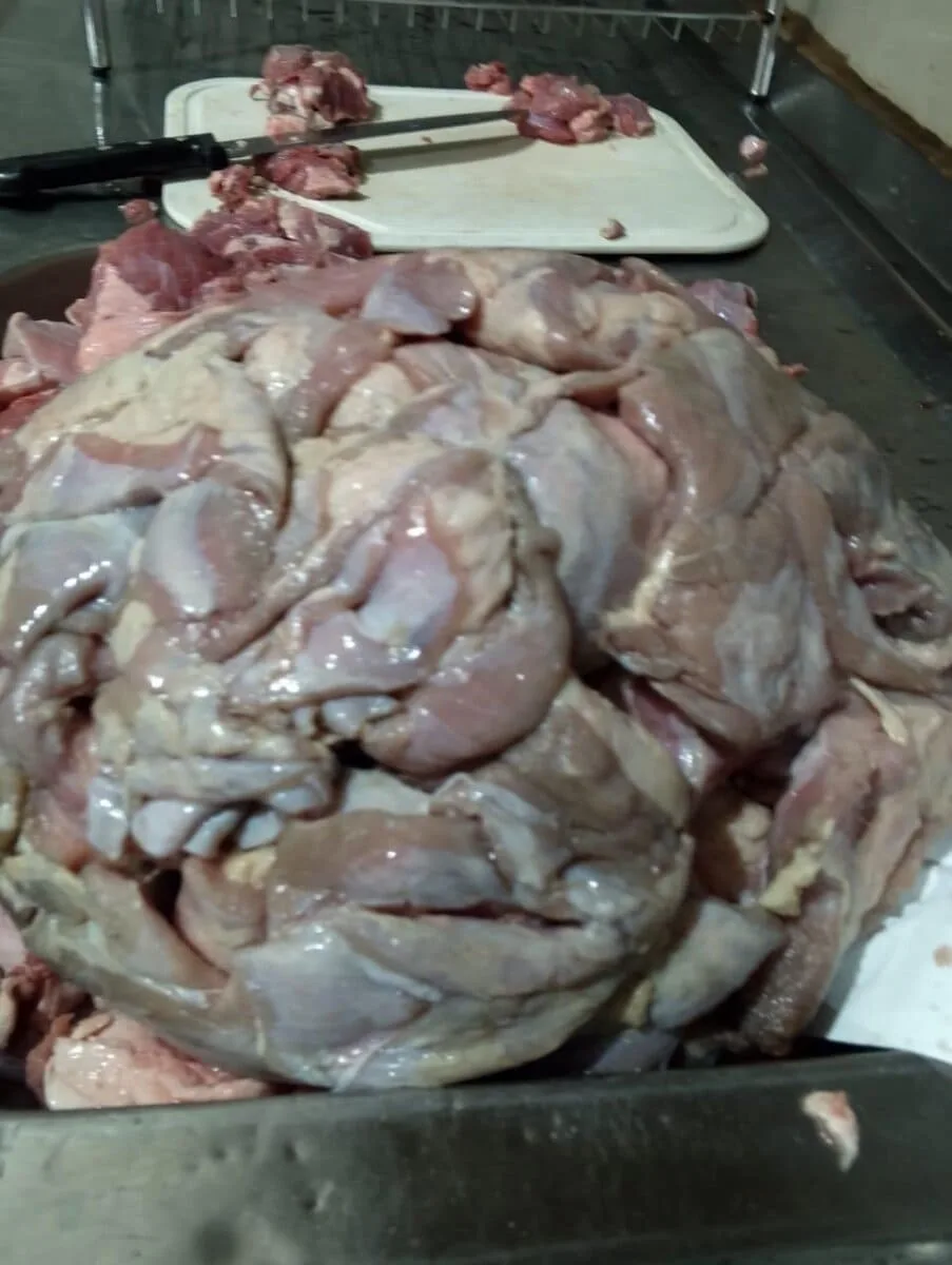 Contrato prevê carne de primeira, mas servidores denunciam produto de baixa qualidade em escola de Cruzeiro do Sul