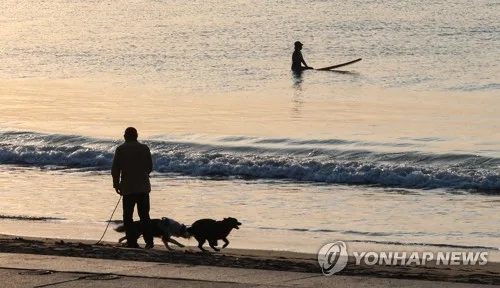 부산 송정해수욕장서 17일 해양레저·반려동물 축제