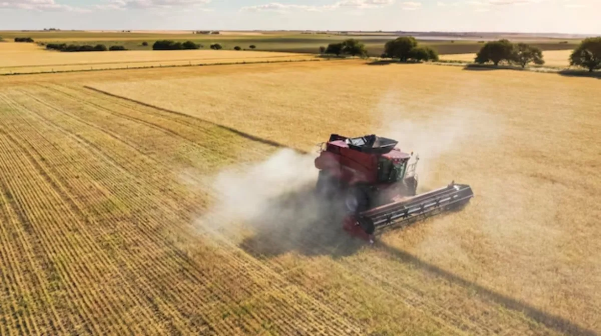 Alerta en el campo y las PyMEs por las nuevas trabas al financiamiento con cheques