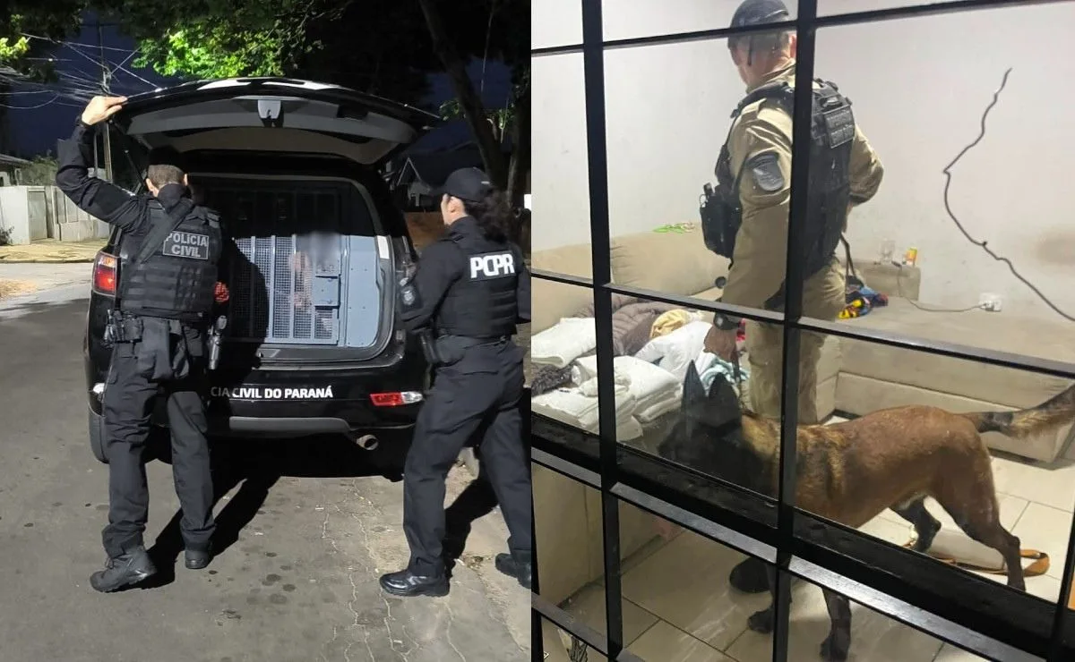 Grupo suspeito de roubar cargas é alvo de operação e cinco pessoas são presas em Umuarama; vídeo mostra crime