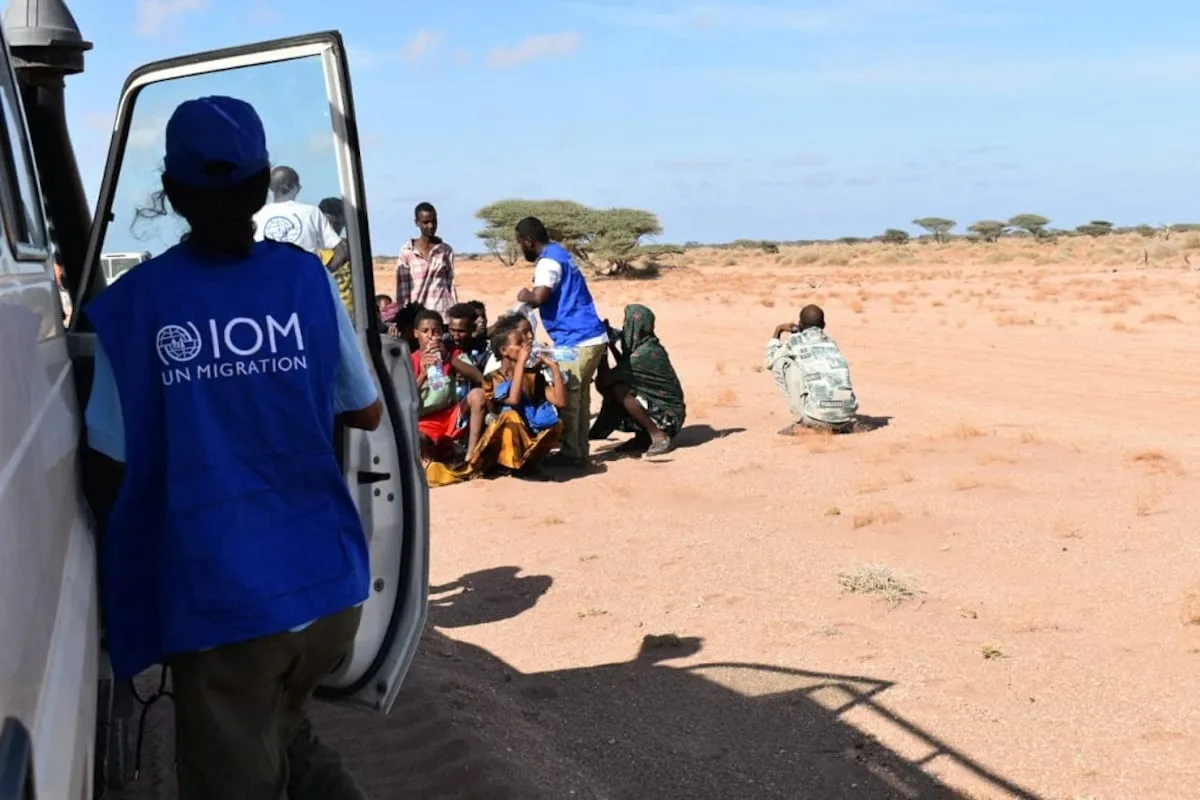 At least 139 migrants dead after boat from Djibouti to Yemen capsizes