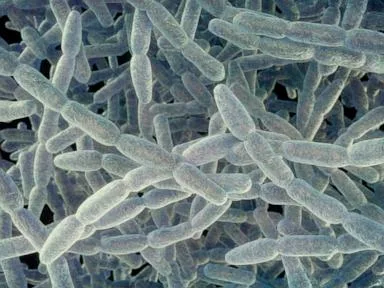 1 death, 5 cases as NYC health officials report another Legionnaires' disease cluster