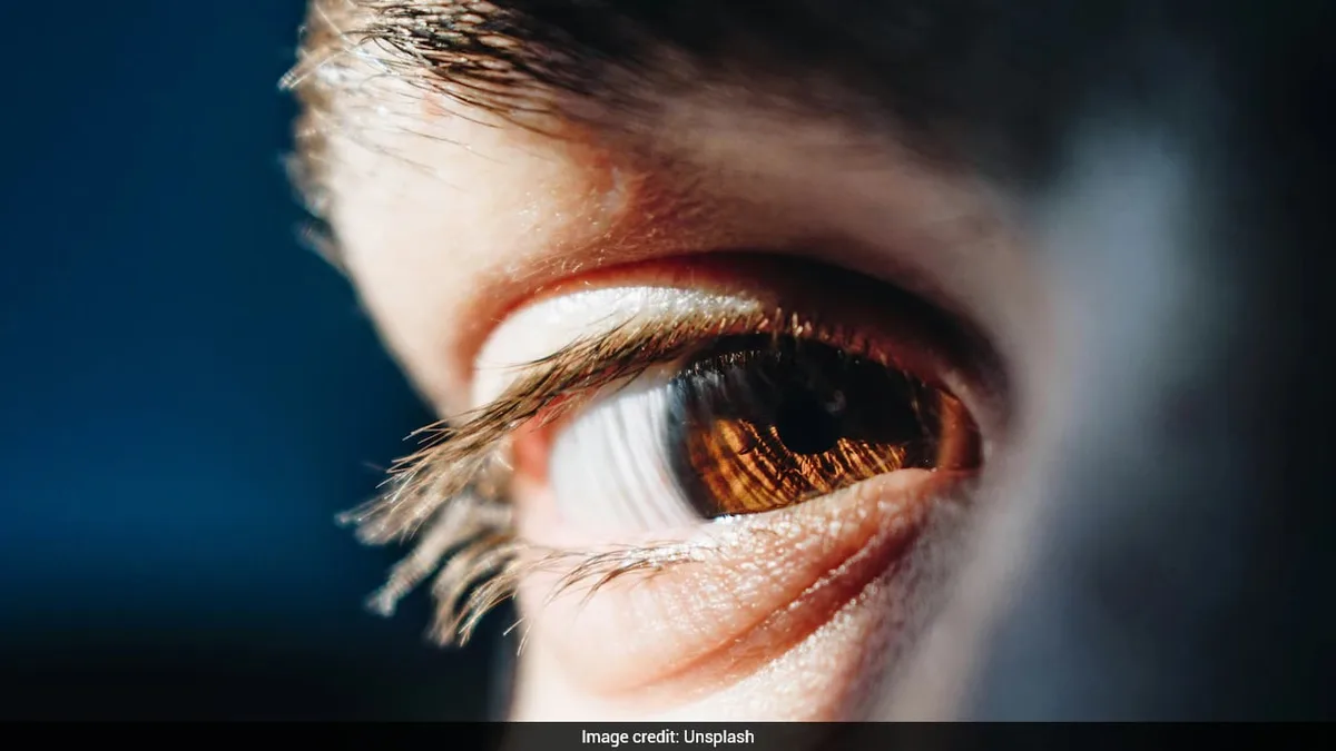 Man Contracts Rare Eye-Eating Parasite After Swimming With Contact Lenses