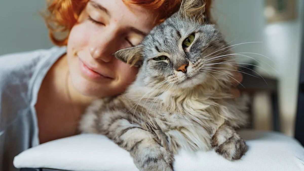 La psicología dice que la timidez es el mayor imán para un gato: activa su curiosidad natural sin levantar alarmas de peligro