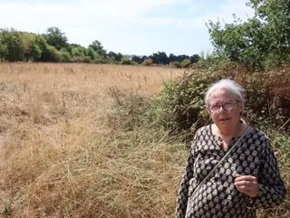 « À la recherche d’un sentier qui n’existe pas », des randonneurs défilent dans sa propriété dans le golfe du Morbihan