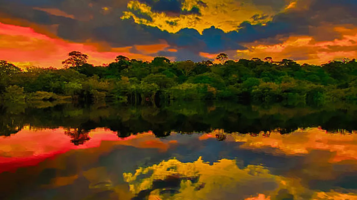In 1927, Henry Ford built a town over a stretch of Amazon rainforest; in 1945 he was forced to sell it for $250,000
