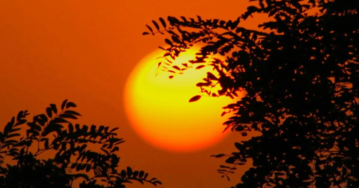 Clima hoy en Tartagal, Salta: el pronóstico del tiempo para este viernes 21 agosto de 2026