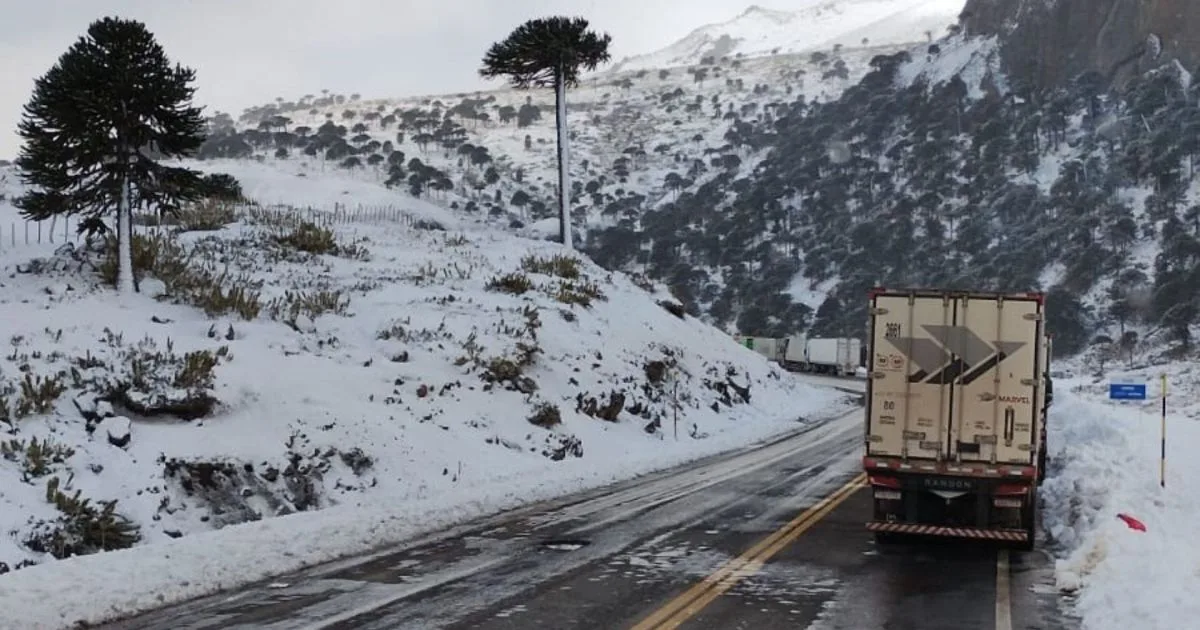 Cierre temporal de Pino Hachado: el estado de las rutas de la cordillera de Neuquén, Río Negro y los pasos a Chile hoy