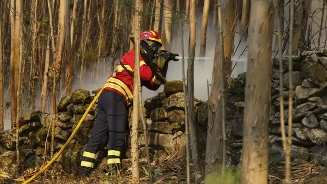 Incêndio com duas frentes ativas em Alijó mobiliza 110 operacionais
