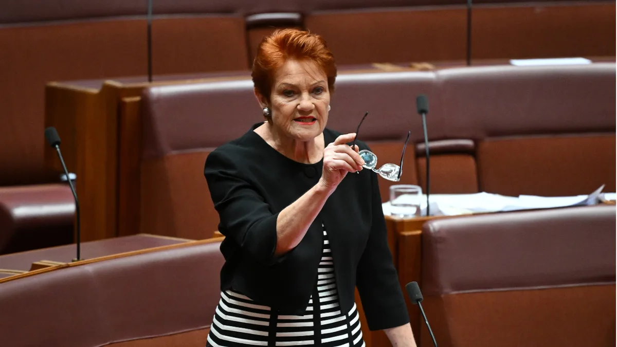 One Nation pledges to slash immigration by 750,000 over three years in newly unveiled plan