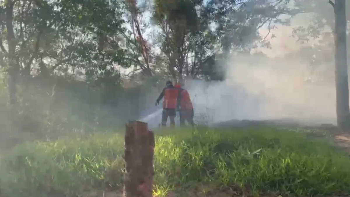 Incêndio atinge área de mata na Praia do Canto, em Vitória