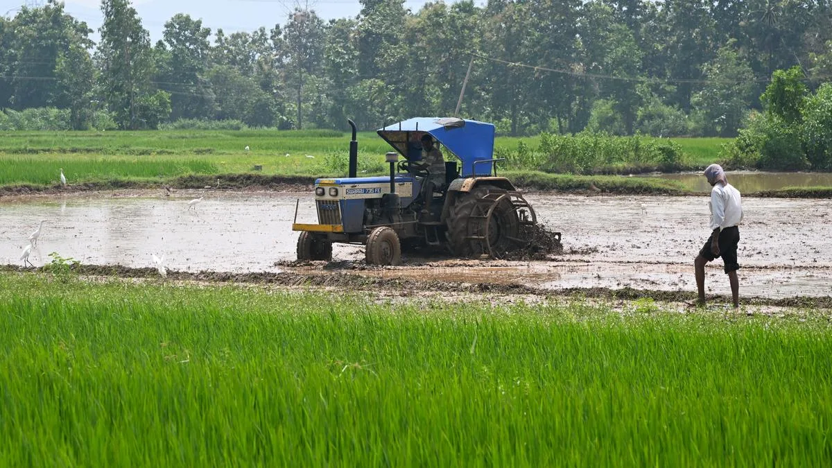 Most of rural agricultural workers landed in non-productive, informal urban jobs in 25 years: study