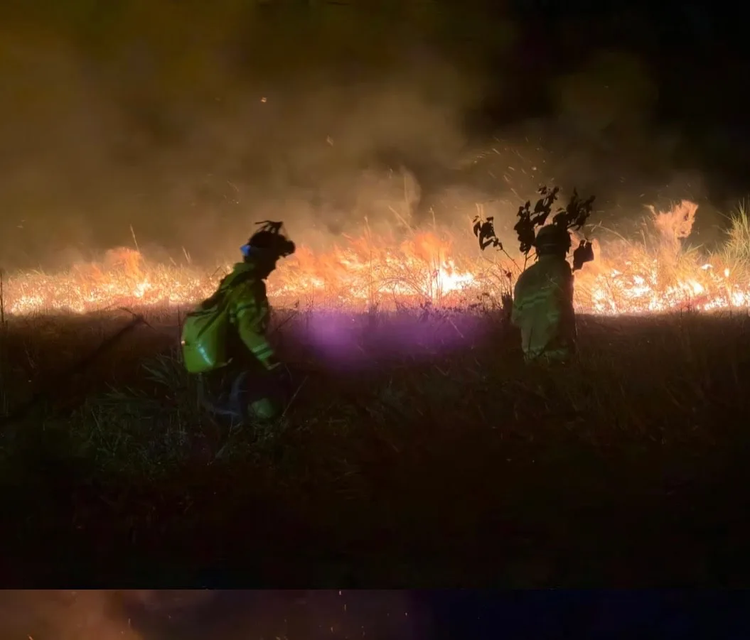 Incêndio é registrado em Rodrigues Alves