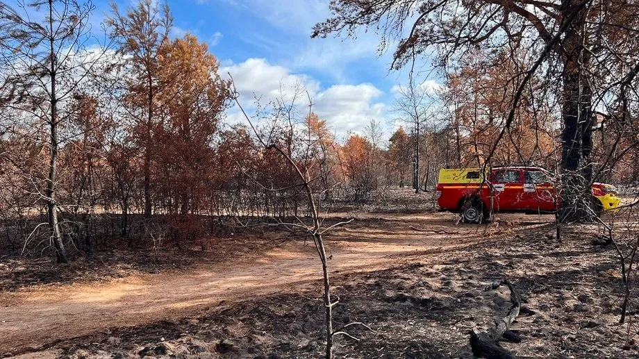 Incendie à Fontainebleau : "Il va falloir plusieurs mois avant que la forêt puisse être totalement accessible"