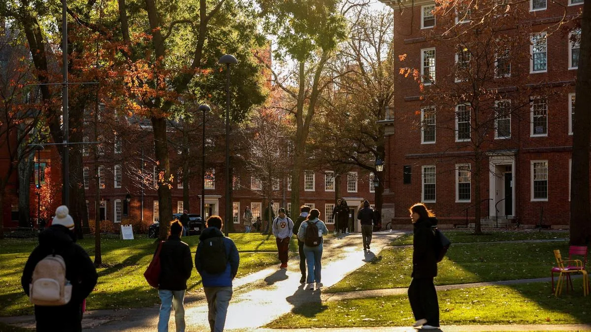 15% decline in Indian students seeking admission to undergraduate courses in U.S.: Report