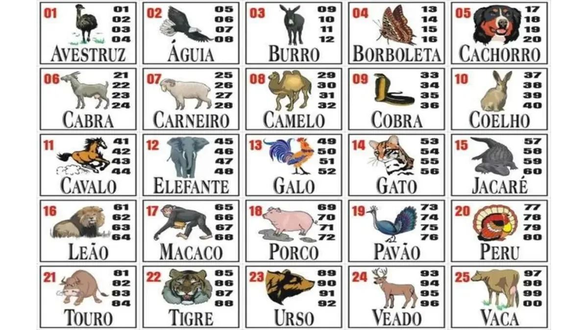 Jogo do bicho envelhece em Goiânia e perde espaço para bets e Tigrinho