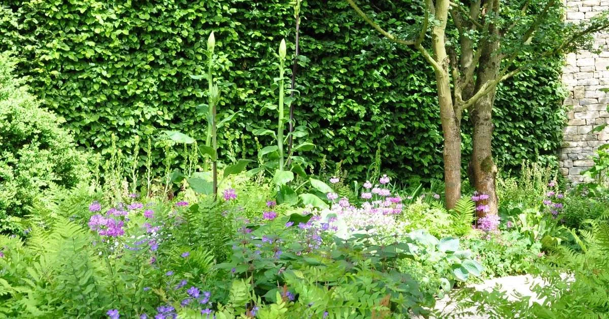 Menos regras, mais natureza: conheça a tendência dos jardins naturalistas