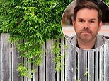 I fear our neighbour's bamboo will pull up my drive, can I force him to get rid of it? Consumer lawyer Dean Dunham replies