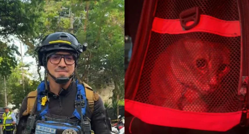 «Si nosotros pudimos, ustedes podrán levantarse»: Habló voluntario venezolano que se hizo viral por salvar a gatica en Colombia
