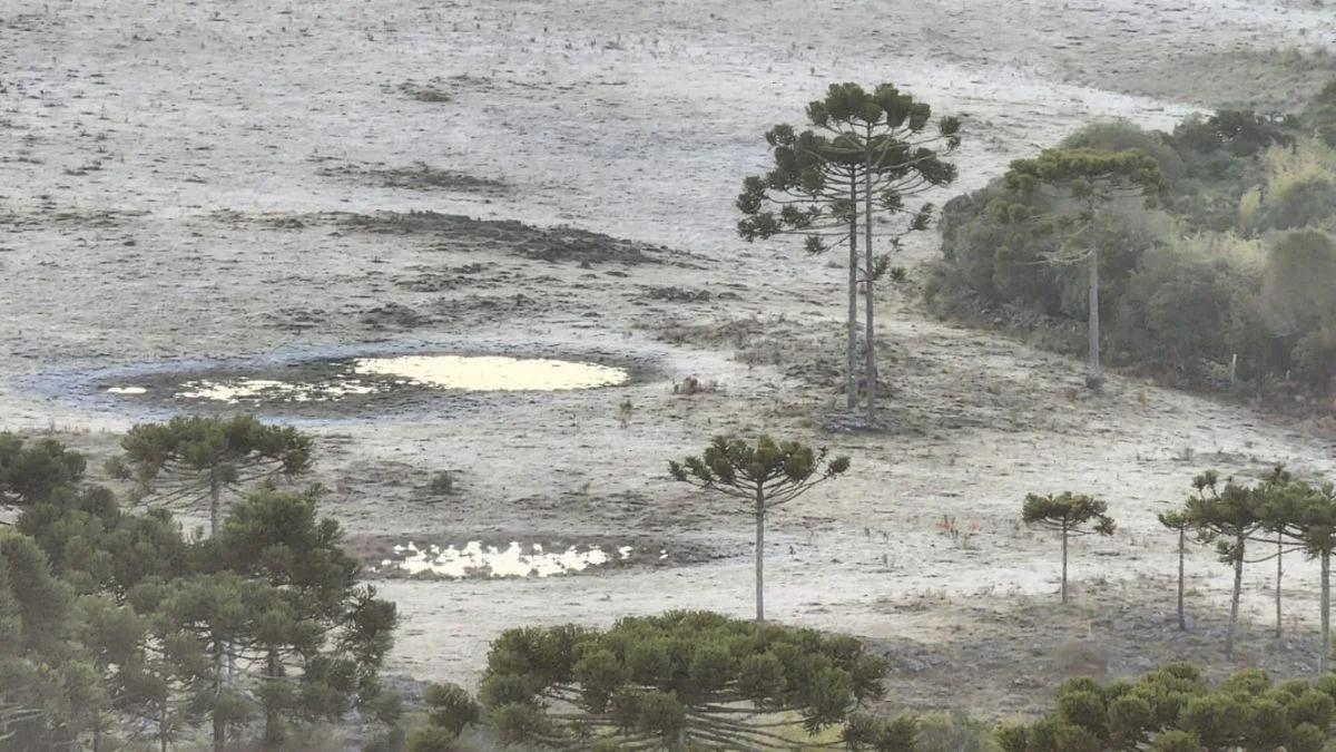 Última quinta-feira do inverno amanhece com -2,7°C em uma das cidades mais frias de SC e geada cobre campos e telhados