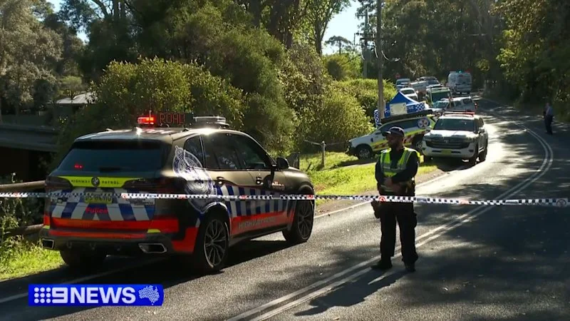 Child dead, three others critical after stabbing in the Blue Mountains