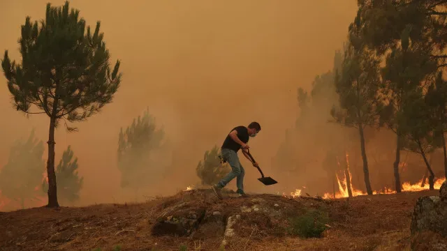 Fogo em Valongo está dominado. Cinco bombeiros e dois civis feridos
