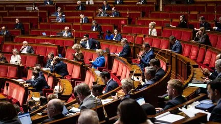 Les députés favorables à l'extension de la taxation des aliments sucrés, lors des premiers débats sur le budget
