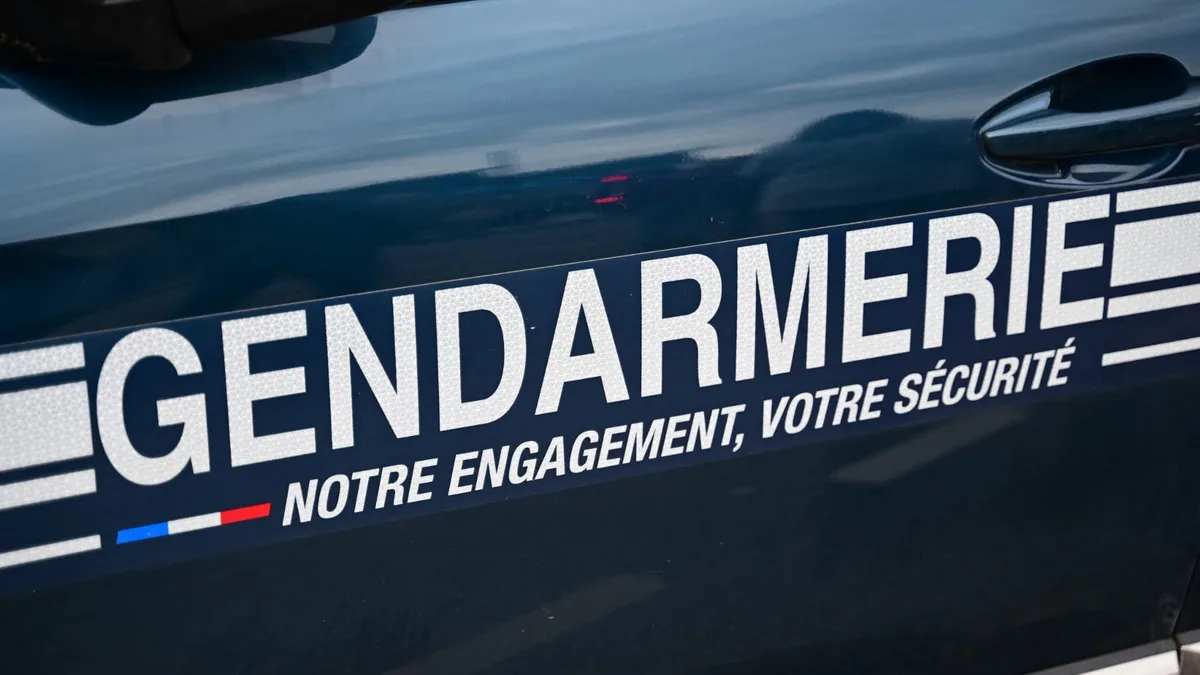 Une adolescente de 13 ans meurt dans une collision entre une voiture et un fourgon de livraison sur l'A89