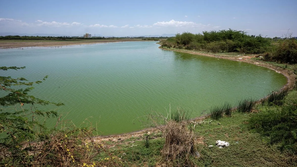 Environmental activists highlight various sites of archaeological and biodiversity significance