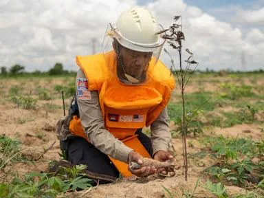 Donor fatigue guts demining in Asia, as active conflicts draw away funding