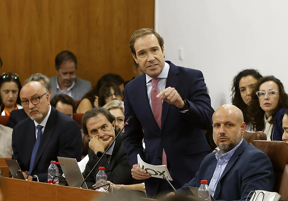 Vox pide el rechazo rotundo del Parlamento al «blanqueamiento» de EH Bildu por Adelante Andalucía