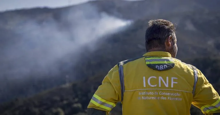 Incêndios. Cerca de 60 concelhos em perigo máximo